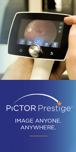Pictor Prestige
