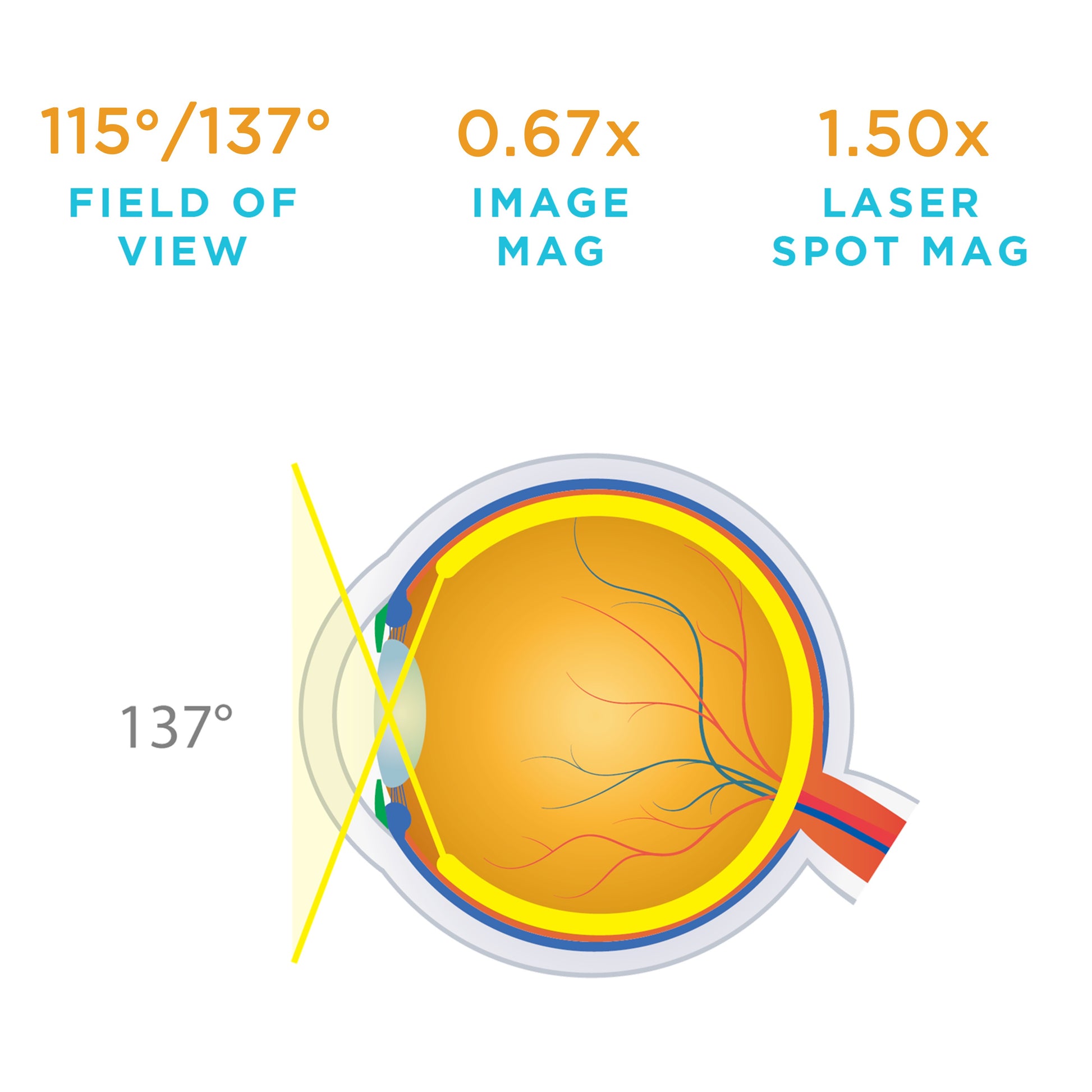 115° / 137° field of view