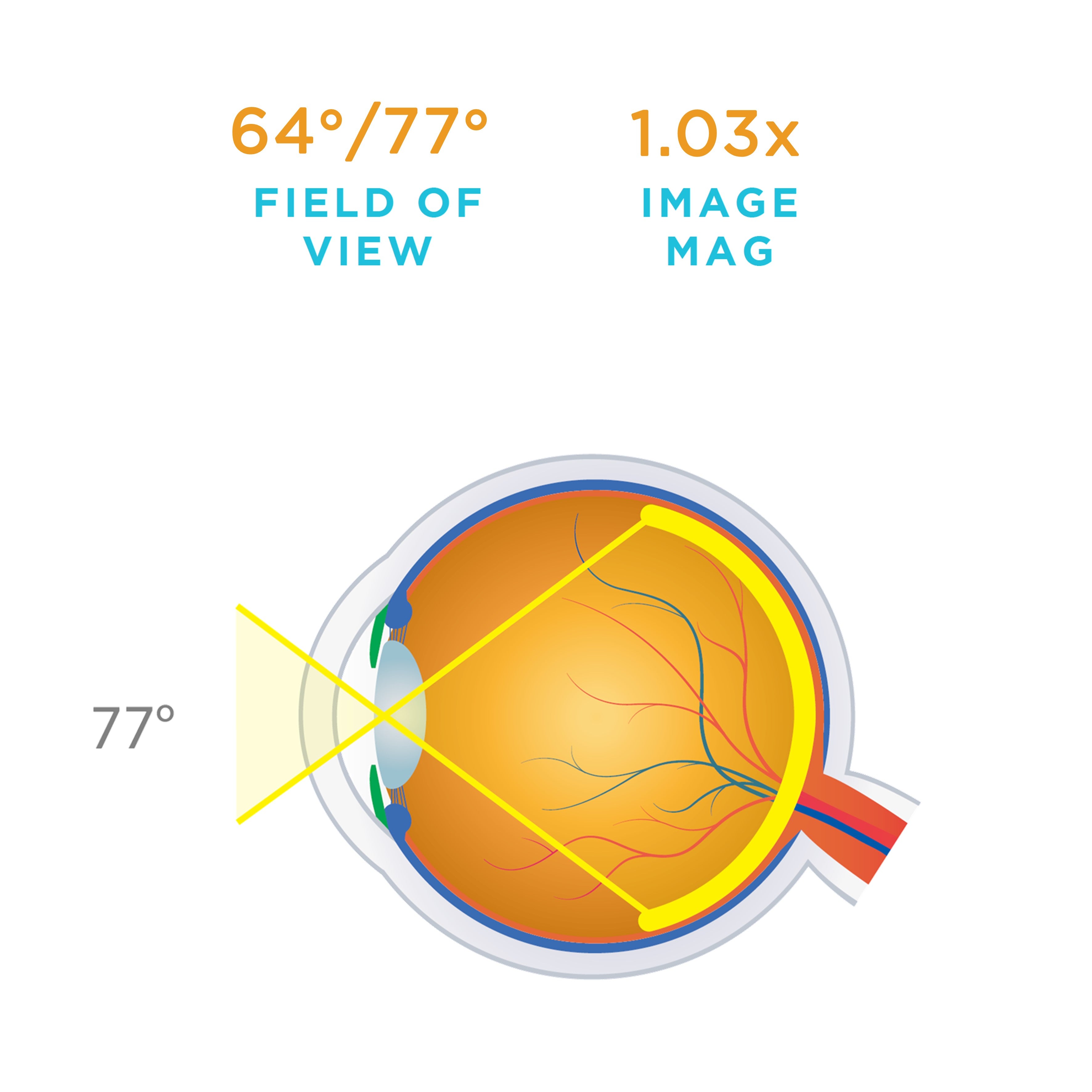 64° / 77° field of view